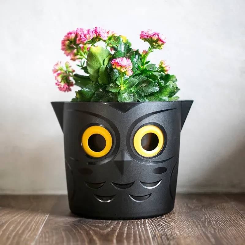 World Botanics Owl WaterMe bloempot 20 cm met reservoir