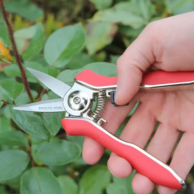 Darlac Mini Snips snoeischaar 28cm rvs