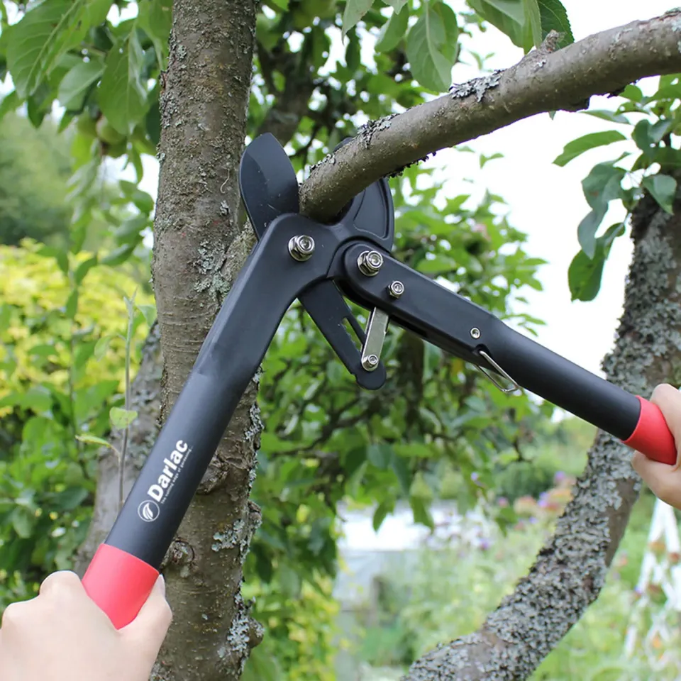 Darlac Handy Ratchet takkenschaar met ratel lichtgewicht