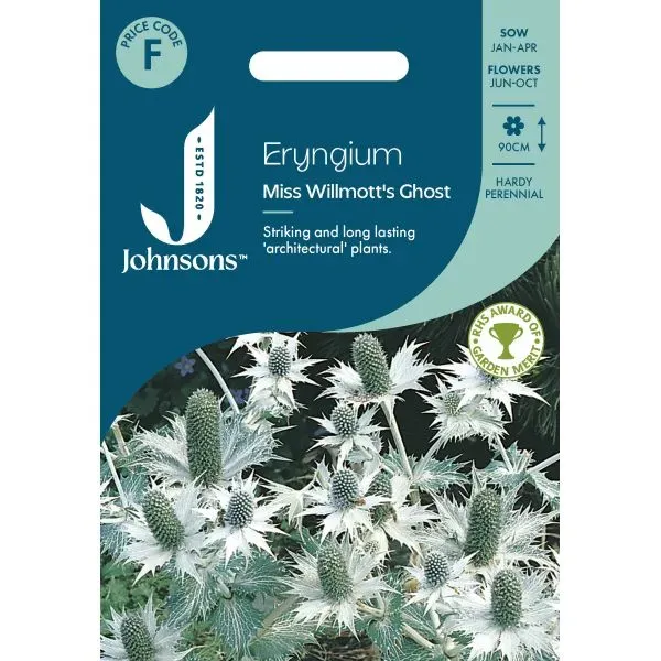 World Botanics Eryngium Miss Willmotts zaden droogbloem