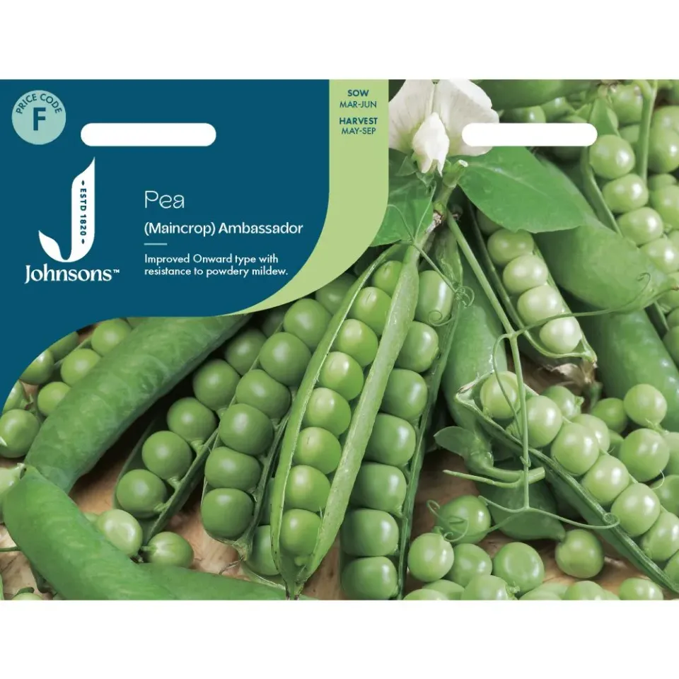 World Botanics Pea Ambassador erwtenzaden hoofdteelt