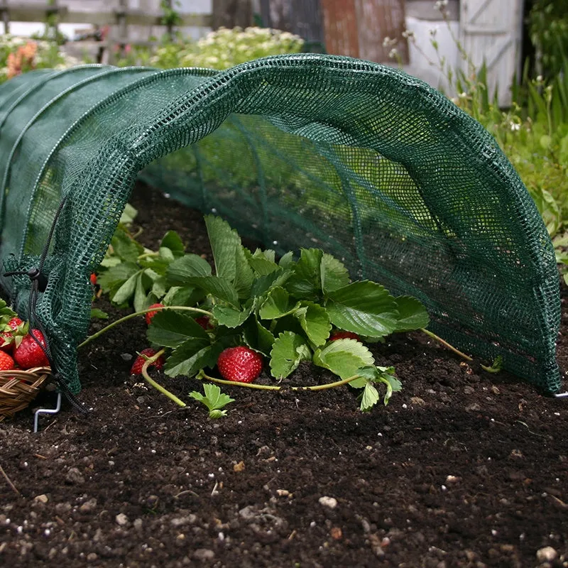 World Botanics Easy Net Tunnel Giant kweeknet 300 cm