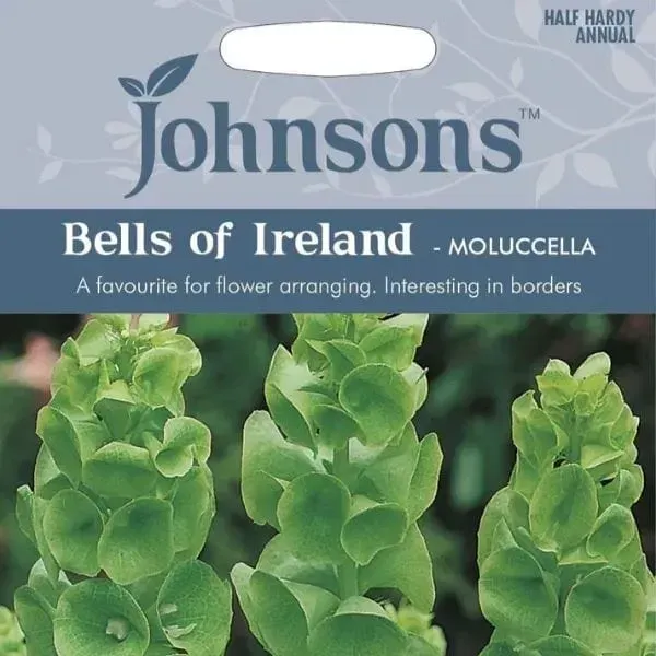 World Botanics Bells of Ireland bloemzaden groen eenjarig