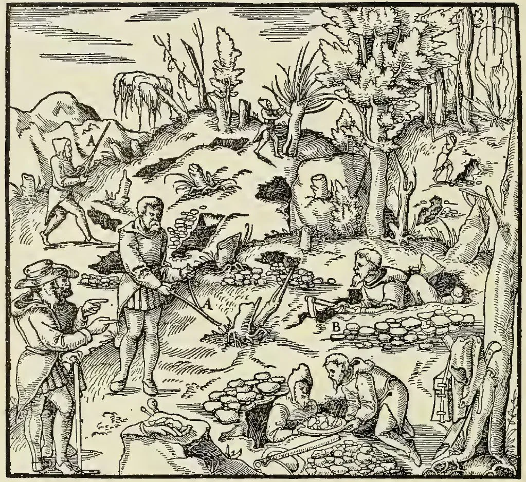 De Cleene Compendium rituele planten boek 120 soorten