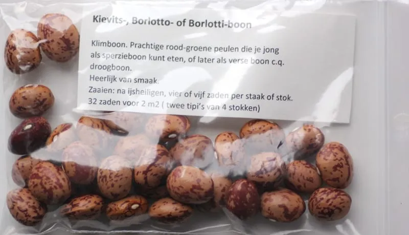 De Tuinen van MergenMetz Borlotto kievitsboon zaden ca. 32 stuks klimmend