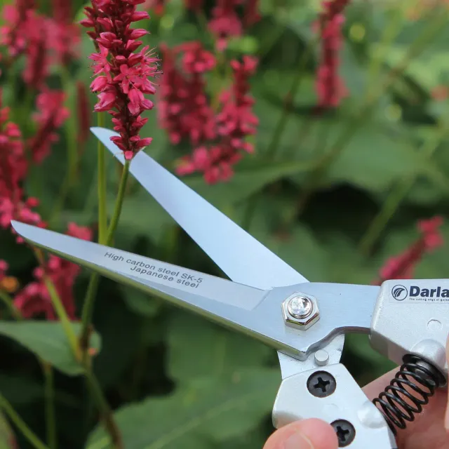 World Botanics Darlac Compact tuinschaar 10mm 21,5cm