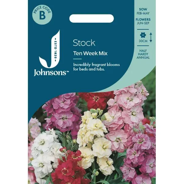 World Botanics Stock Ten Week Mix violierzaden geurend
