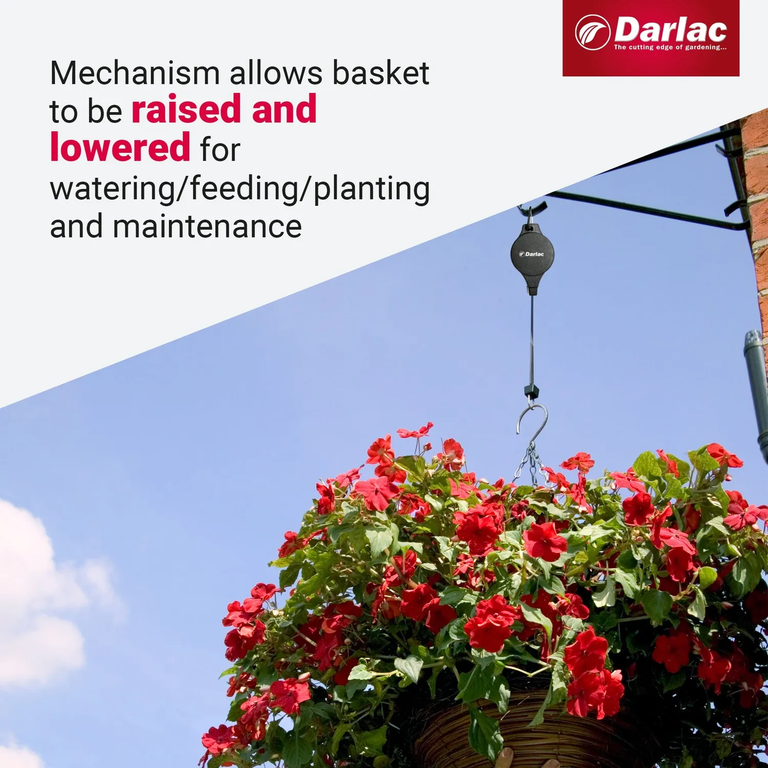 Darlac Hi-Lo hangmand katrol 80 cm tot 9 kg