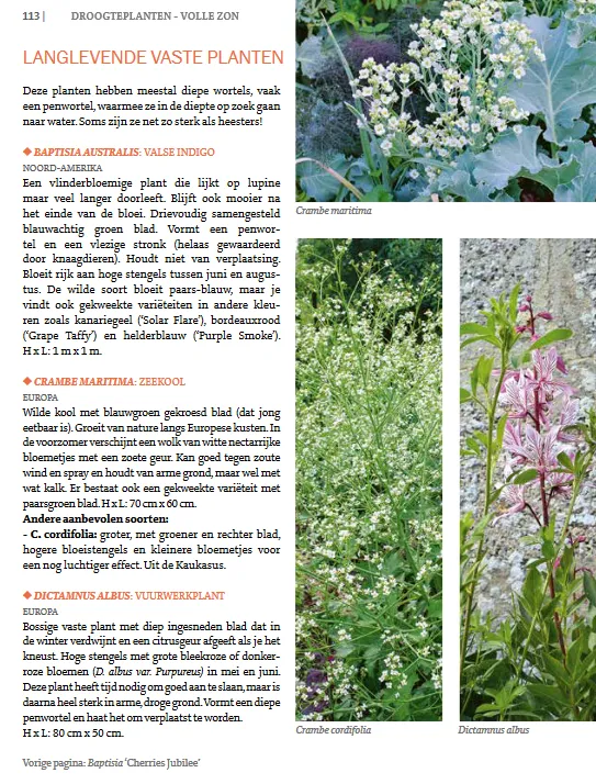 De Tuinen van MergenMetz Droogteplanten boek 450 planten waterbesparend