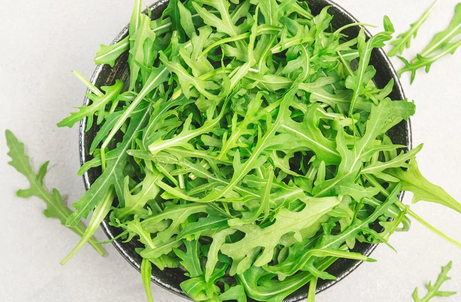 Herbal Age Premium Rucola zaden ca. 700 zaden pittig