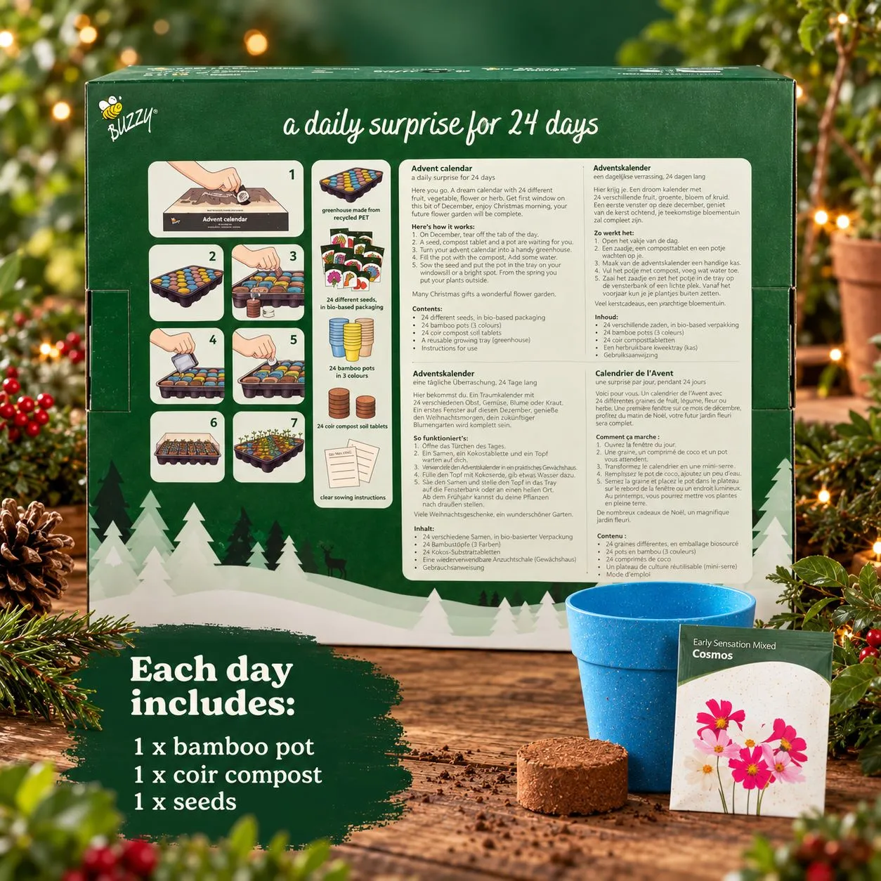 World Botanics Christmas in Bloom zaden adventskalender 24 vakjes