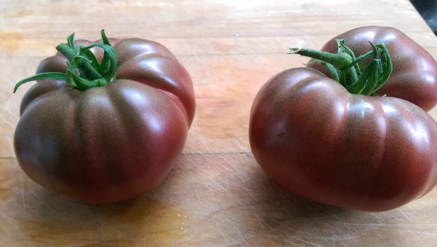 De Tuinen van MergenMetz Zwarte Russische tomatenzaden 15 zaden vleestomaat