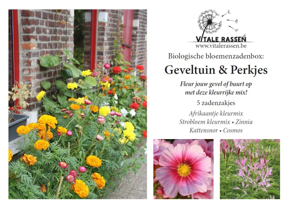 Vitale Rassen Zadenbox bloemenmengsel Geveltuin & Perkjes zaden mix