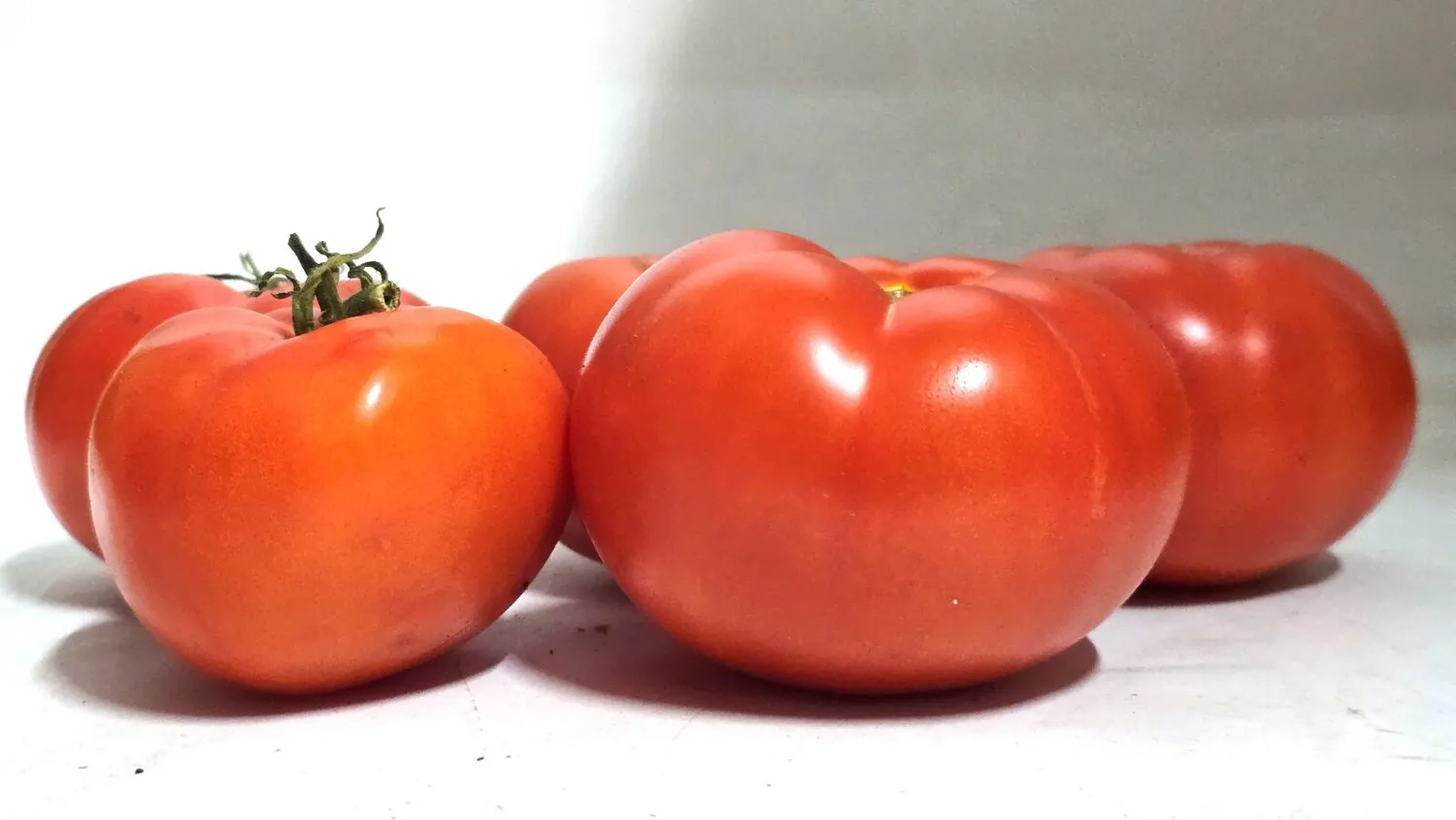 De Tuinen van MergenMetz Tomaat Aurora tomatenzaden 15 stuks