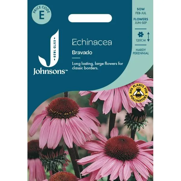 World Botanics Echinacea Bravado bloemzaden roze zon