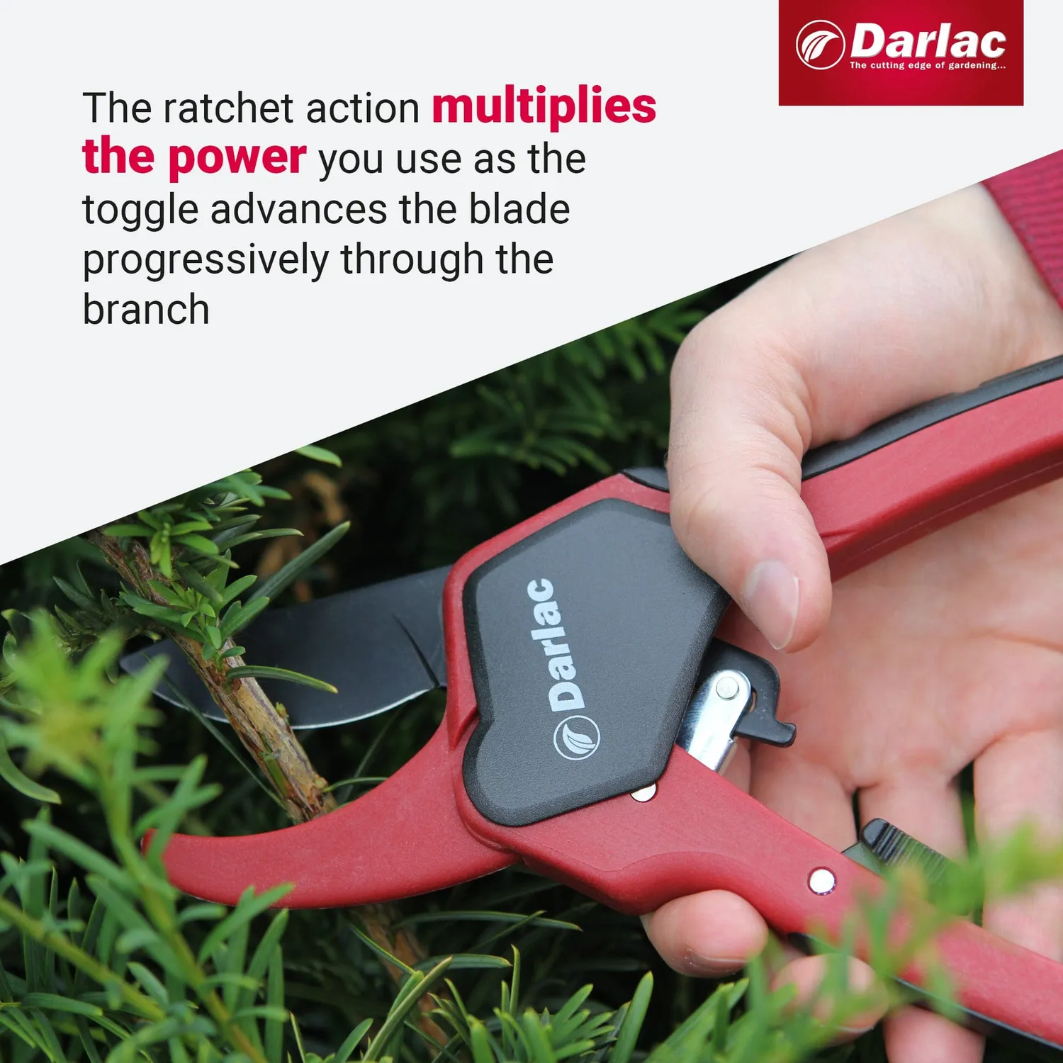 Darlac Classic Ratchet snoeischaar met ratel 25mm