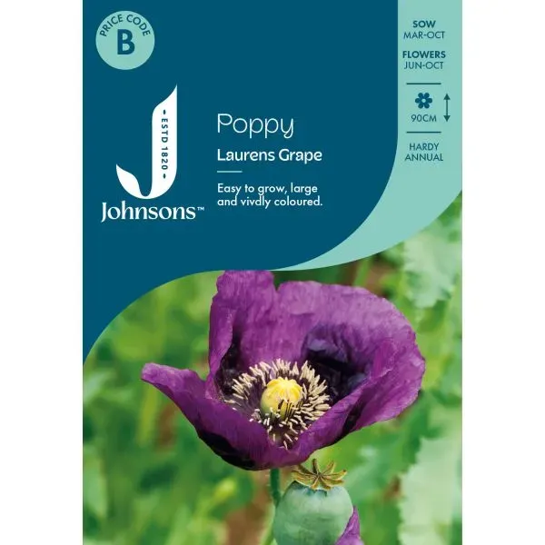 World Botanics Laurens Grape papaverzaden paars