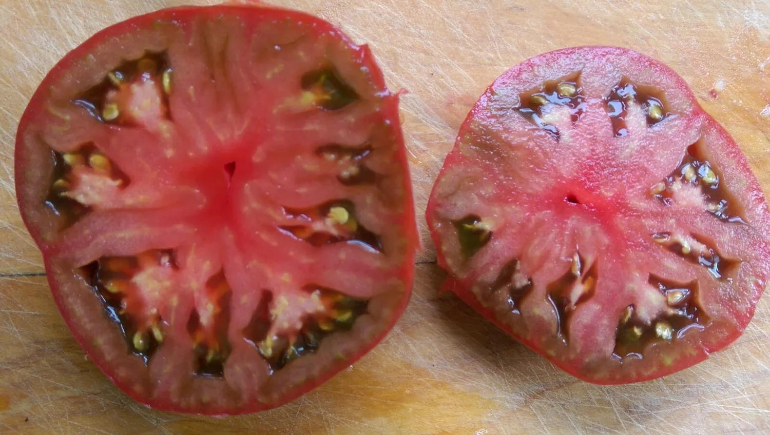 De Tuinen van MergenMetz Zwarte Russische tomatenzaden 15 zaden vleestomaat