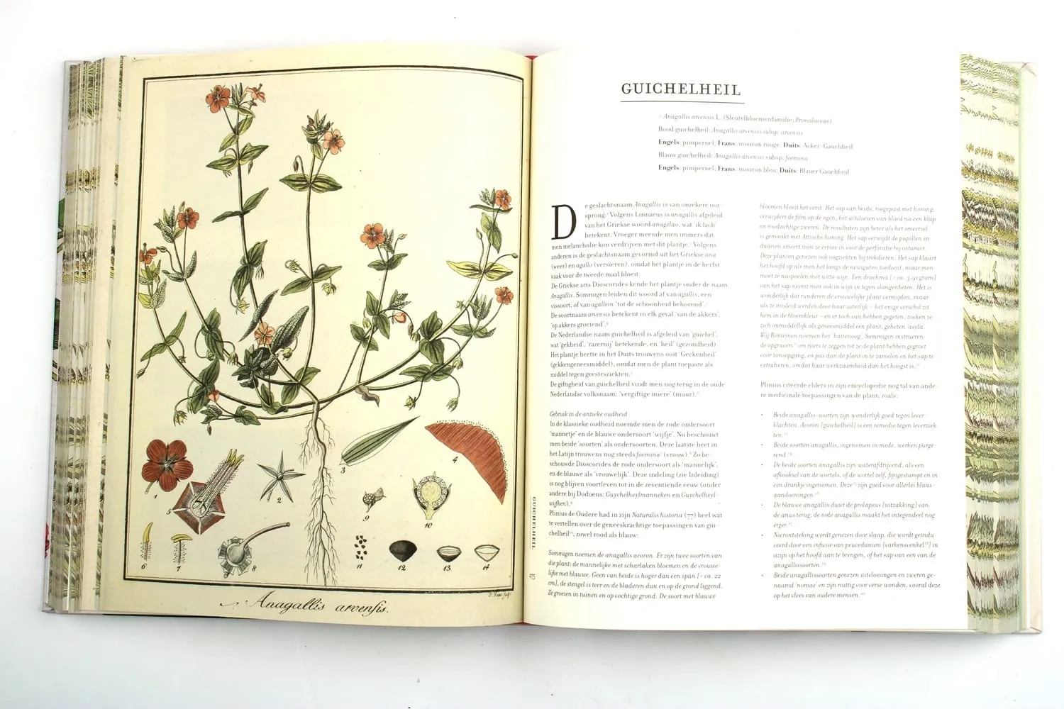 De Tuinen van MergenMetz Historia Naturalis boek kruiden 700 pagina’s
