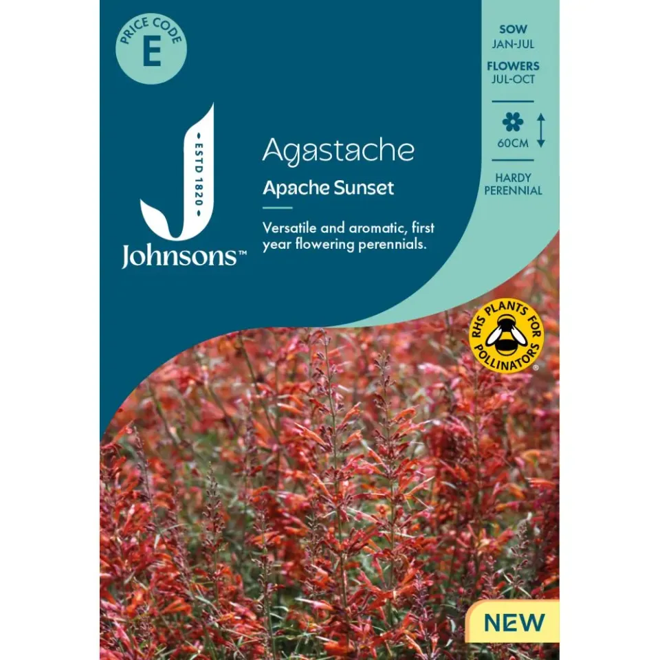 World Botanics Apache Sunset agastache zaden oranje