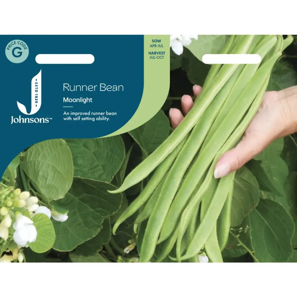 World Botanics Runner Bean Moonlight pronkbonenzaden klimmend