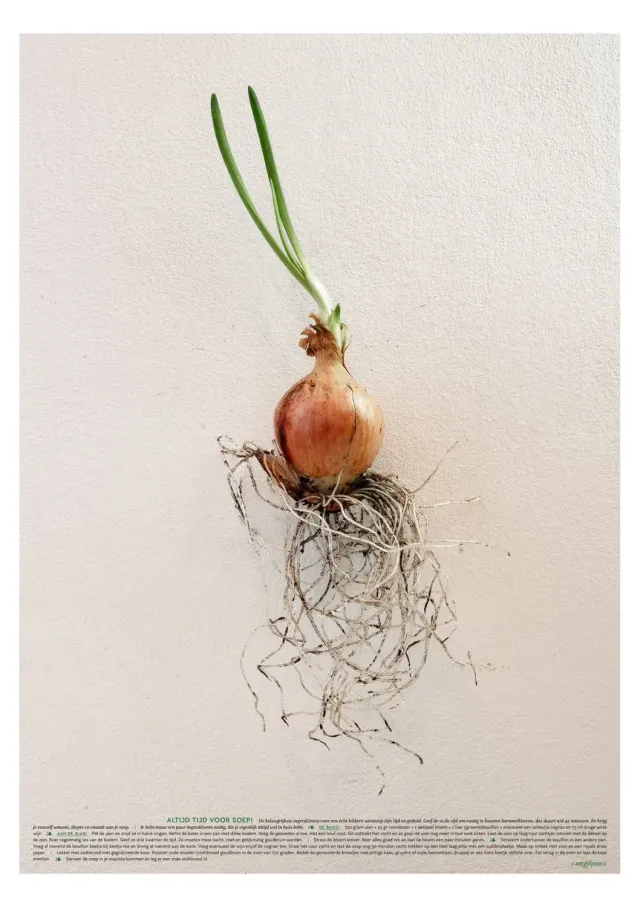 Meet Your Greens De Moeder uienposter A2+ 48x68 met recept