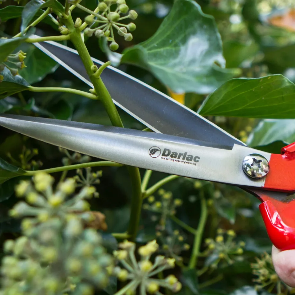 Darlac Perennial Shear grasschaar eenhandig lichtgewicht