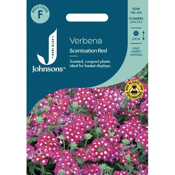 World Botanics Verbena Scentsation Red bloemzaden rood geurend