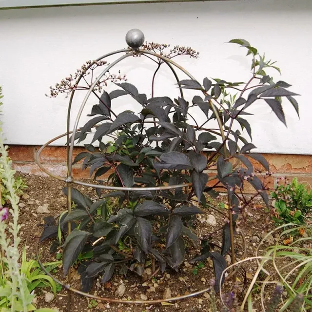World Botanics Bell plantensteun roest staal 68,5 cm 2 stuks