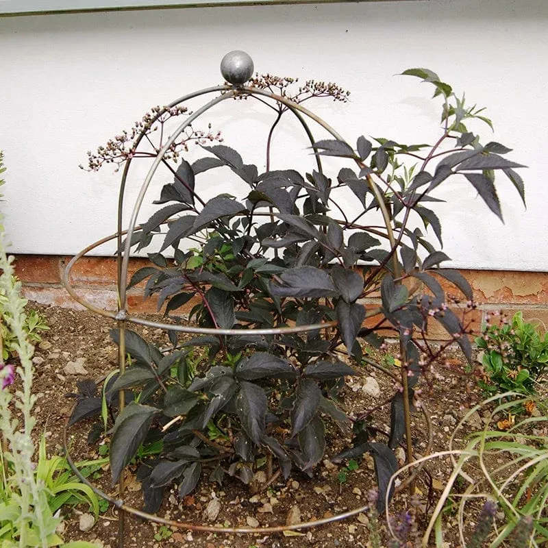 World Botanics Bell plantensteun roest staal 68,5 cm 2 stuks
