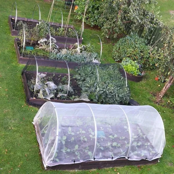 World Botanics Veggiemesh insectengaas 1,8 x 5 m