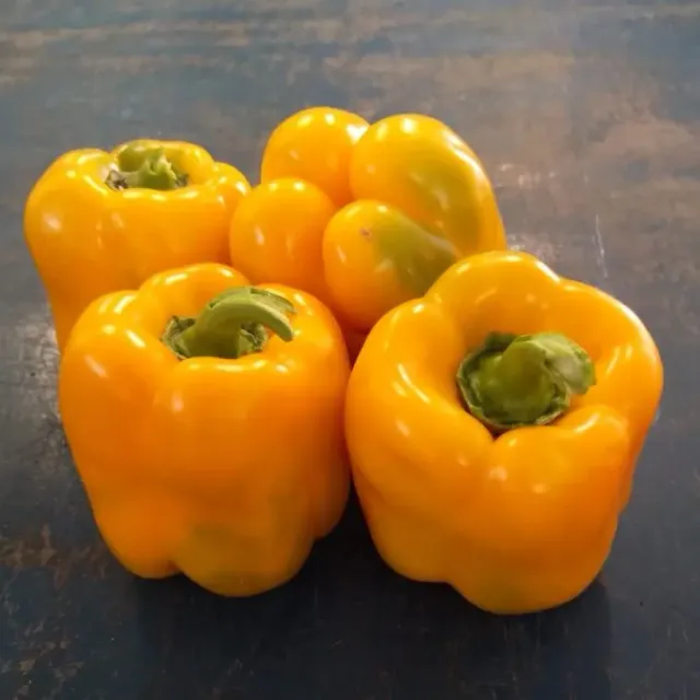 Vitale Rassen Buiten-Paprika Martha zaden geel