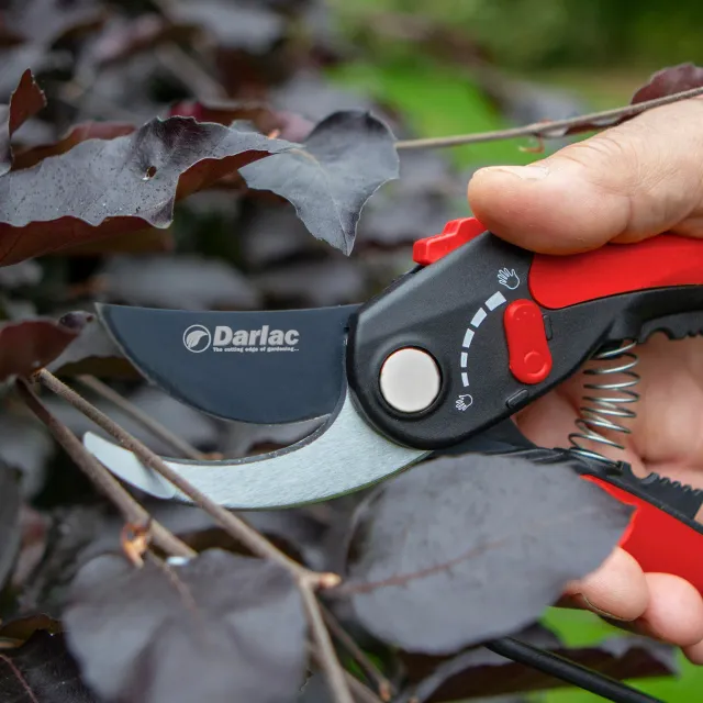 World Botanics Darlac 56610 snoeischaar verstelbaar
