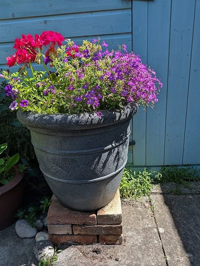 World Botanics Sophistication containermix kant-en-klaar 7 plant