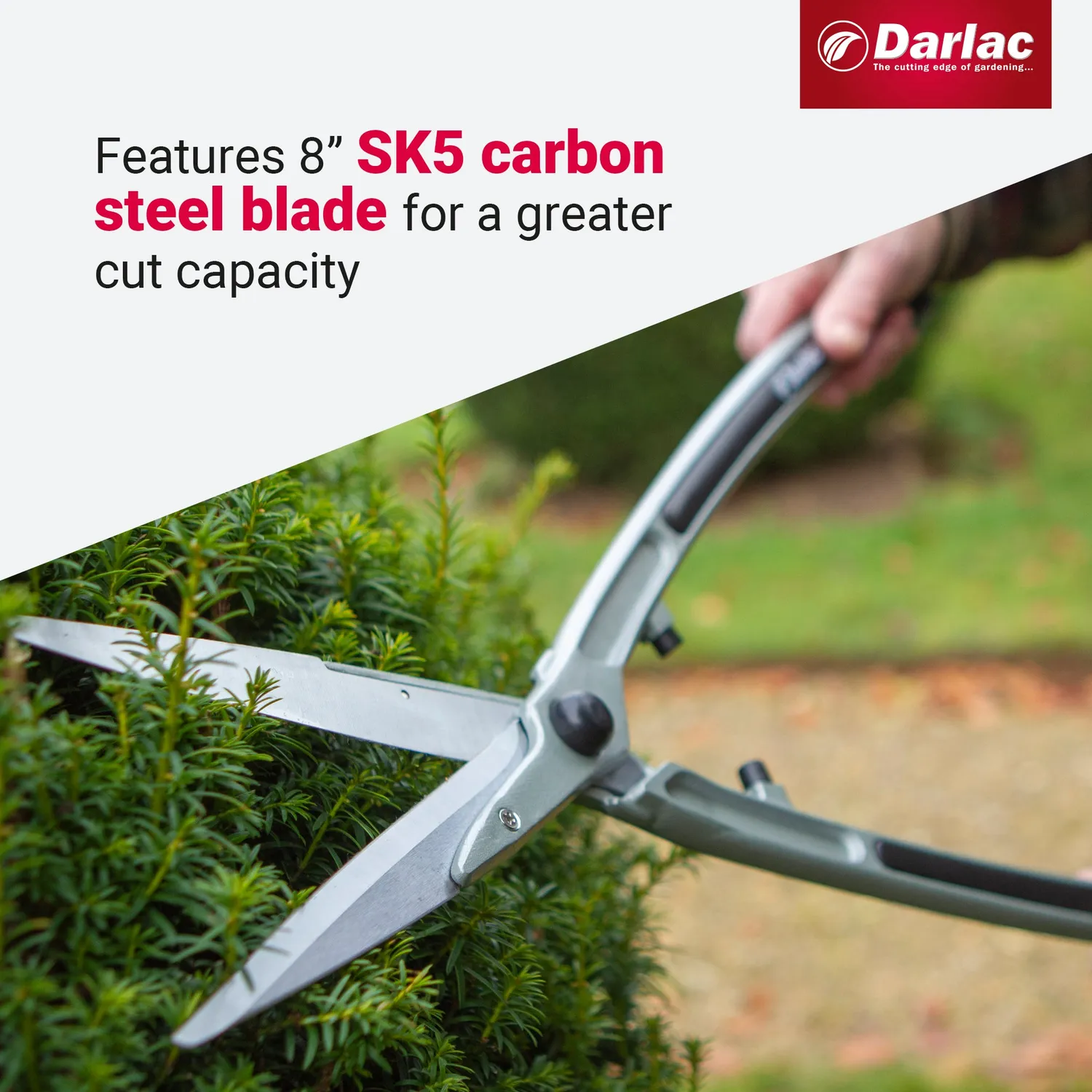 Darlac Lightweight 8 inch heggenschaar koolstofstaal