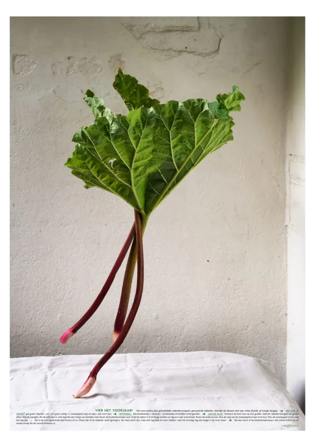 Meet Your Greens De Danser rabarber poster A2+ 48x68