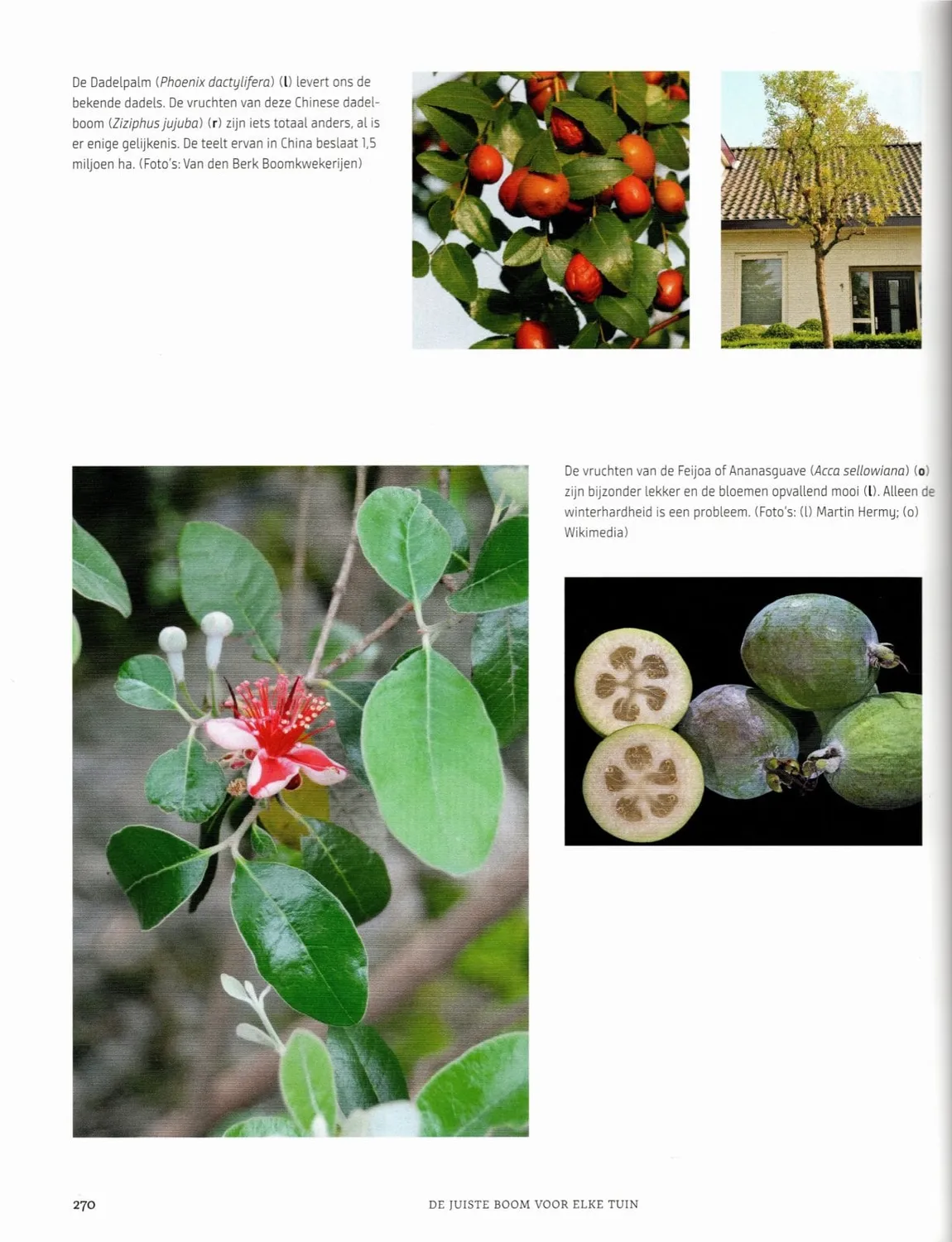 De juiste boom voor elke tuin boek Martin Hermy voedselbos