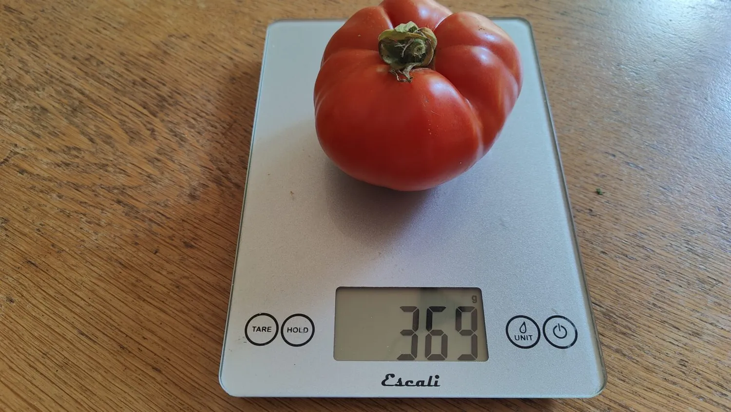 De Tuinen van MergenMetz Wonder van de Markt tomatenzaad 15 zaden productief