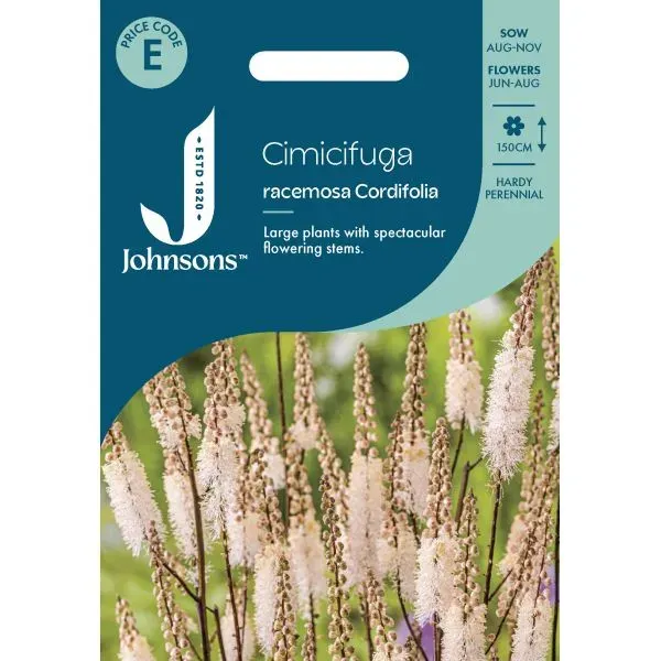 World Botanics Cimicifuga Racemosa Cord bloemzaden vaste plant