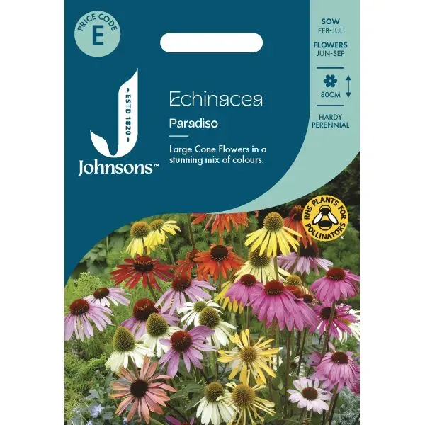 World Botanics Paradiso echinacea zaden 80cm bijenmix