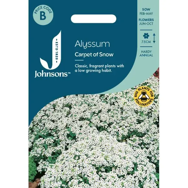 World Botanics Carpet of Snow alyssum bloemzaden wit