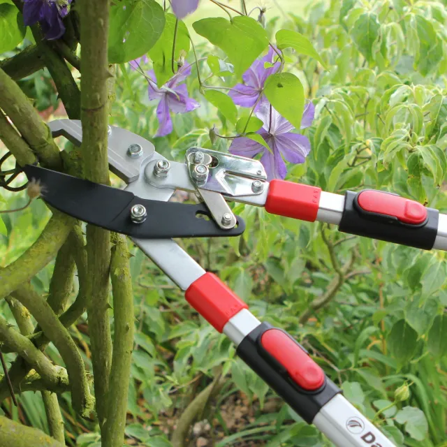 Darlac Telescopic Ratchet takkenschaar 50 mm uitschuifbaar