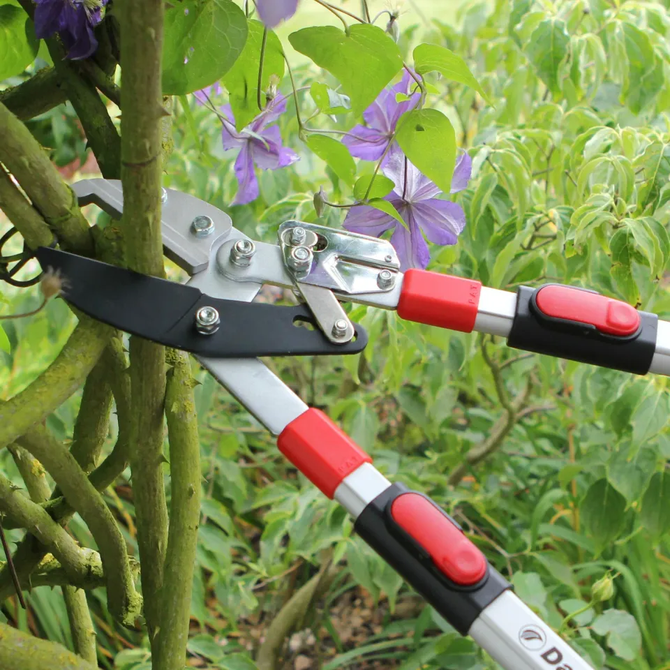 Darlac Telescopic Ratchet takkenschaar 50 mm uitschuifbaar