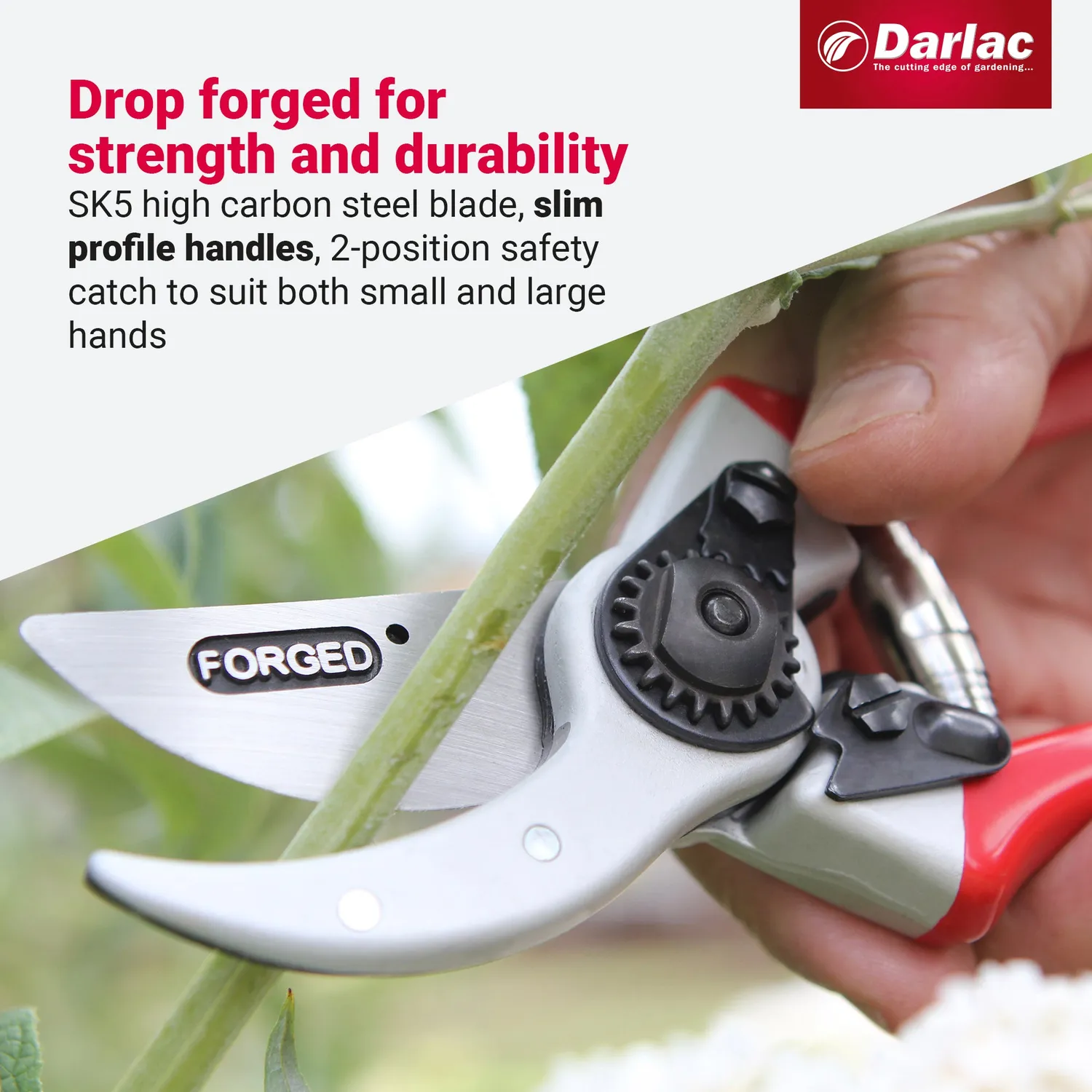Darlac Expert 56616 snoeischaar gesmeed 25 mm