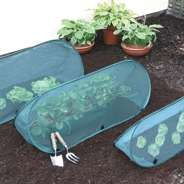 World Botanics Pop-Up Net Cloche 1 meter gaas