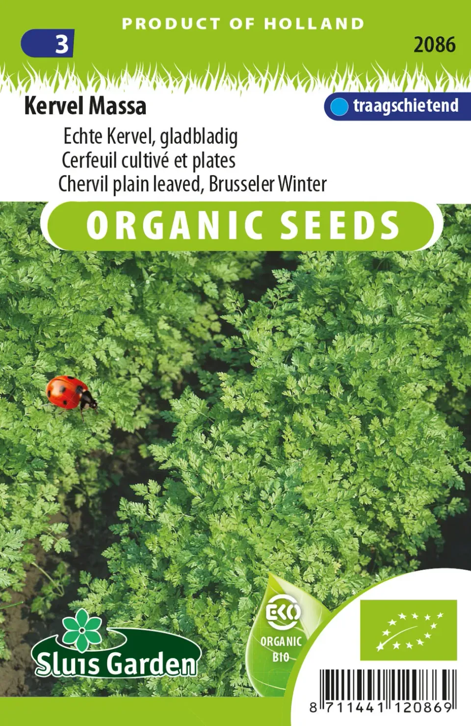 Sluis Garden Kervel Massa BIO Zaden gladbladig
