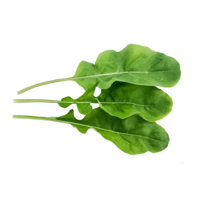 Vitale Rassen Ruca gewone rucola zaden onbespoten