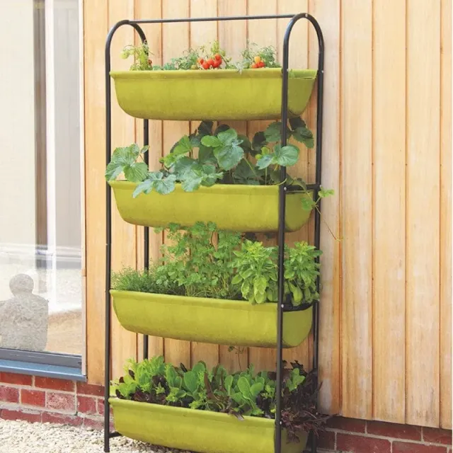 World Botanics Vigoroot Balcony Garden kweekrek luchtsnoei