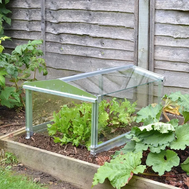 World Botanics Garden Cloche kweekkas glas 79 cm