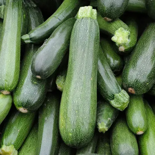 De Tuinen van MergenMetz Courgette Verte des Maraîchers 10 zaden